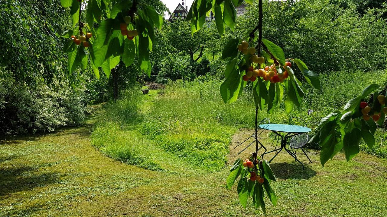 GITE AU PETIT RUISSEAU-Etage et combles-maison alsacienne 4 personnes 3 nuitées minimum Langensoultzbach Exterior foto